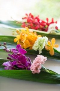 o0480072012503863814